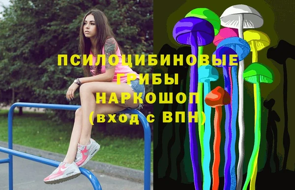 гашик Сафоново
