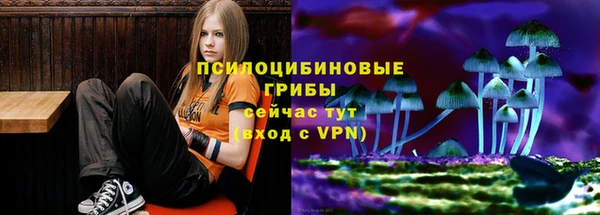 гашик Сафоново