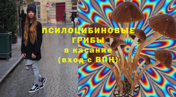 гашик Сафоново