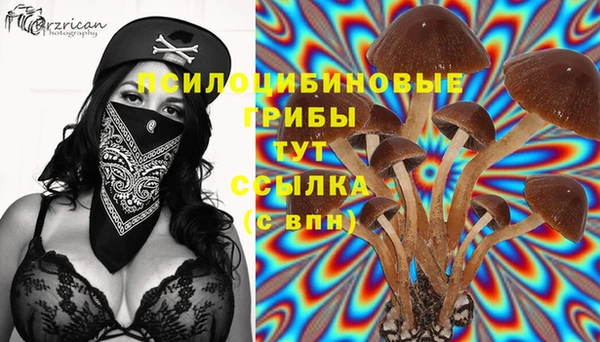 гашик Сафоново