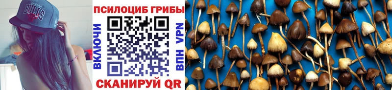 Галлюциногенные грибы MAGIC MUSHROOMS  даркнет сайт  Собинка 